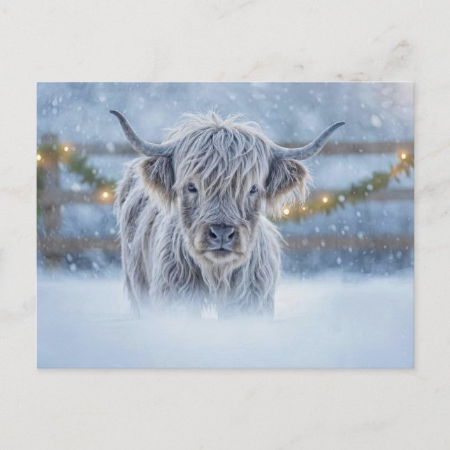 Highland Calf in Snow Christmas Holiday Postcard (Front)
