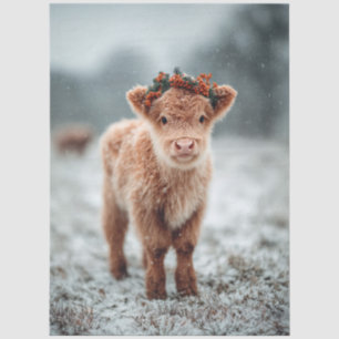 Highland Calf in Snow with Holiday Wreath Tissue Paper