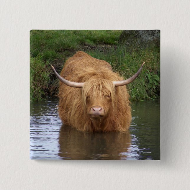 Highland Cattle 15 Cm Square Badge (Front)