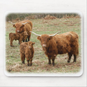 Highland Cattle 9Y316D-055 Mouse Pad