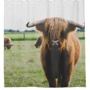 HIGHLAND CATTLE AT THE FIELD DURING DAY SHOWER CURTAIN