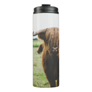 HIGHLAND CATTLE AT THE FIELD DURING DAY THERMAL TUMBLER