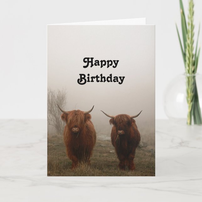 Highland Cattle Birthday Card (Front)