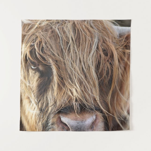 HIGHLAND CATTLE COW FACE TAPESTRY (Front)