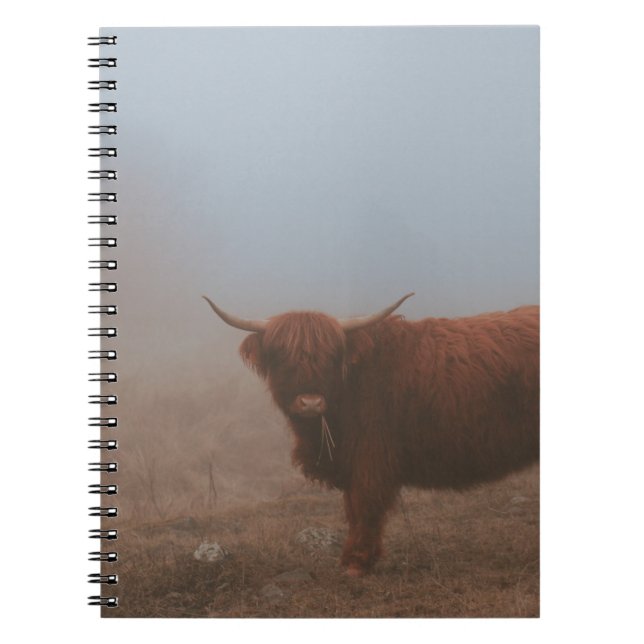 HIGHLAND CATTLE COW NOTEBOOK (Front)