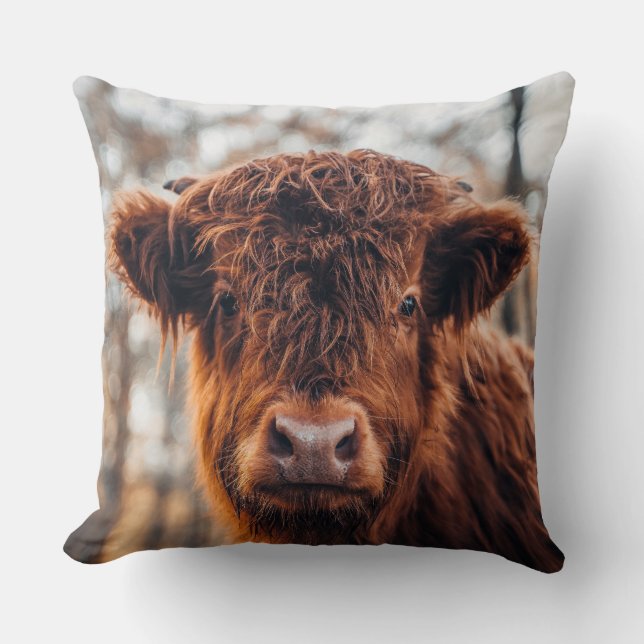 Highland Cattle Cushion (Front)