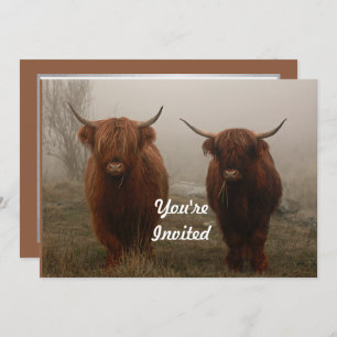 Highland Cattle Fog Photo Birthday Invitation