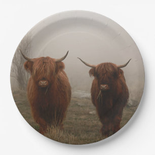 Highland Cattle Fog Photo Paper Plate