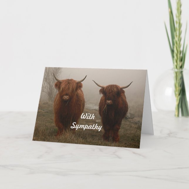 Highland Cattle Fog Photo Sympathy Card (Front)