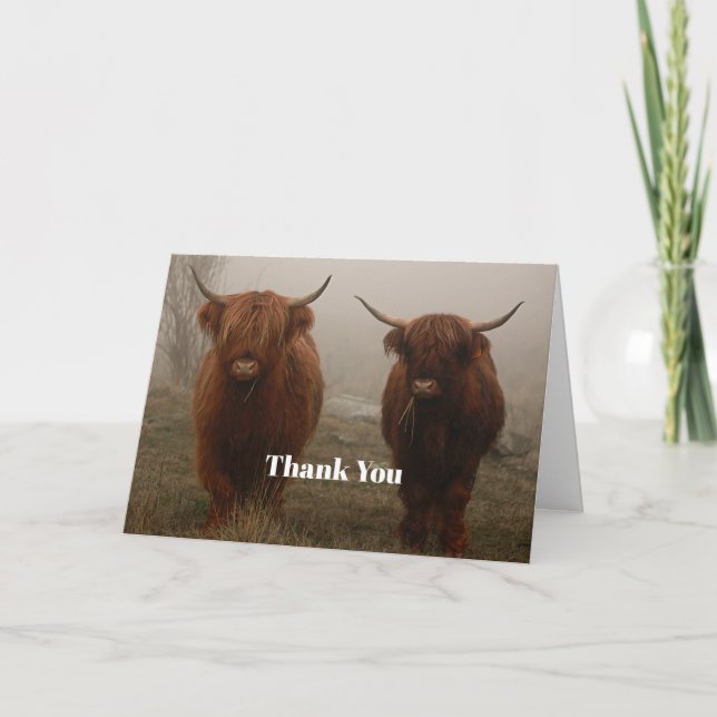 Highland Cattle Fog Photo Thank You Card (Front)
