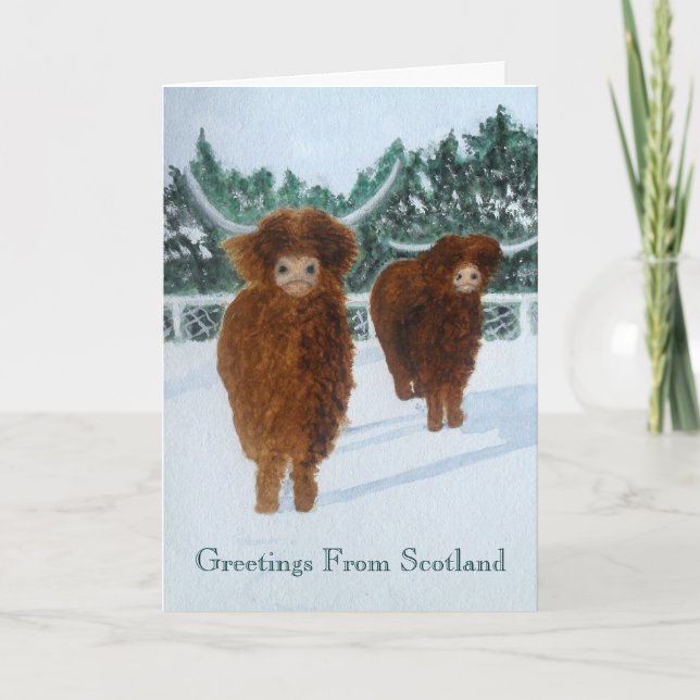 Highland Cattle in Winter Holiday Card (Front)