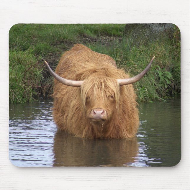 Highland Cattle Mouse Pad (Front)