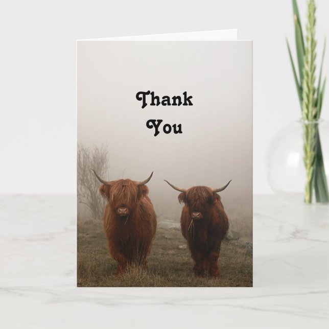Highland Cattle Thank You Card (Front)