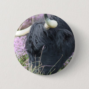Highland Coo 6 Cm Round Badge
