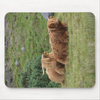 Highland Coo mousepad