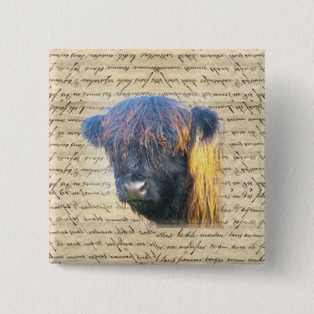 Highland cow 15 cm square badge (Front)