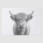 Highland Cow Adorable