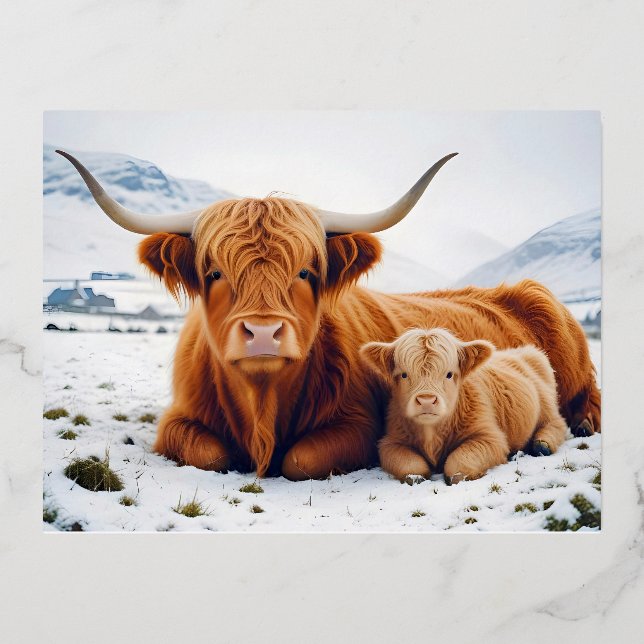 Highland Cow Animal Nature Wildlife Affection Love Foil Holiday Postcard (Front)