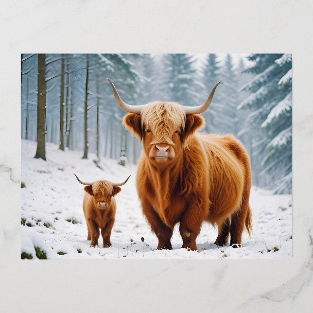 Highland Cow Animal Nature Wildlife Affection Love Foil Holiday Postcard (Front)