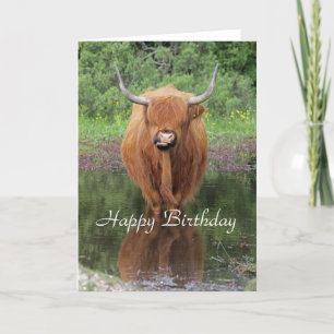 Highland cow birthday card