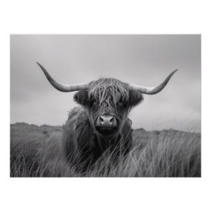 Highland Cow Black and White Decoupage Poster