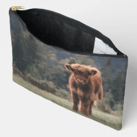 Highland cow calf autumn grass field