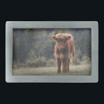 Highland cow calf autumn grass field belt buckle<br><div class="desc">Highland cow calf autumn grass field photograph. Stunning young calf of highland Scottish cattle on an autumn grassy field with muted colours. Beautiful dark hairy orange coat contrasting with light yellow green grass and trees in bokeh in background.</div>