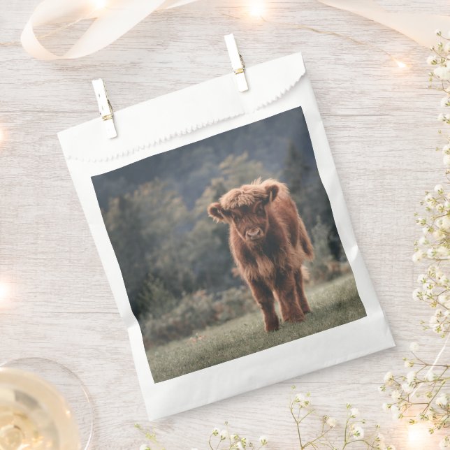 Highland cow calf autumn grass field favour bag (Clipped)