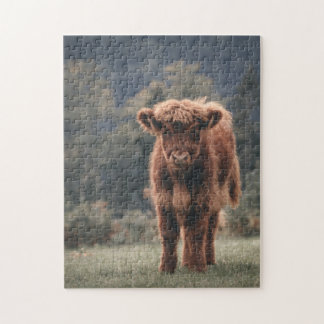 Highland cow calf autumn grass field jigsaw puzzle
