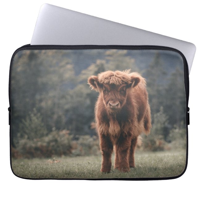 Highland cow calf autumn grass field laptop sleeve (Front)