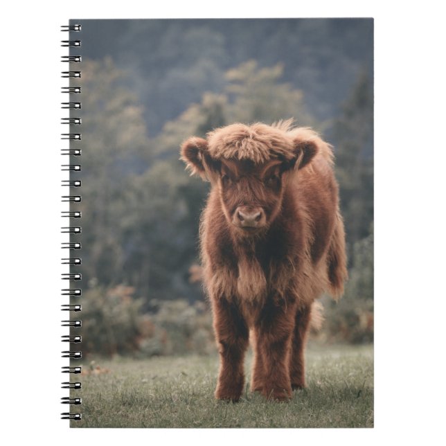 Highland cow calf autumn grass field notebook (Front)