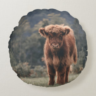Highland cow calf autumn grass field round cushion
