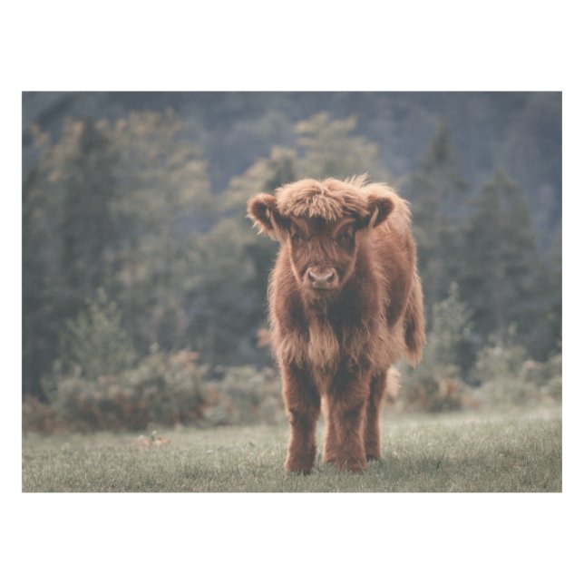 Highland cow calf autumn grass field tablecloth (Front (Horizontal))