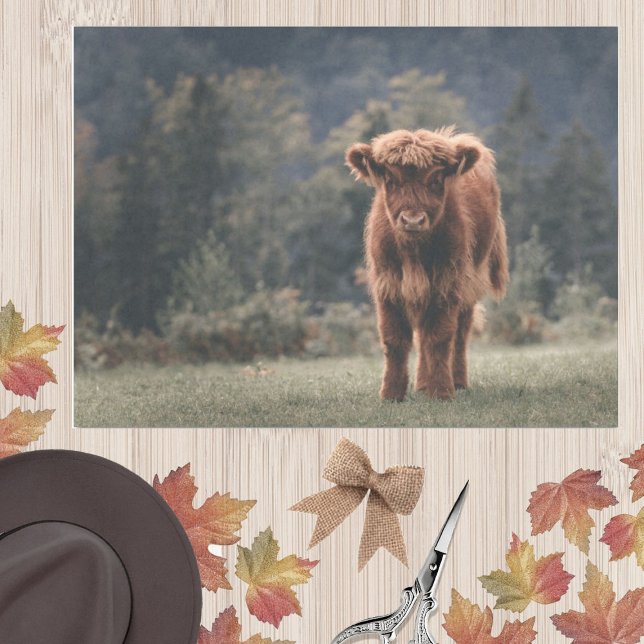 Highland cow calf autumn grass field tissue paper (Creator Uploaded)