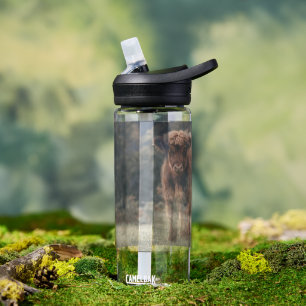 Highland cow calf autumn grass field water bottle