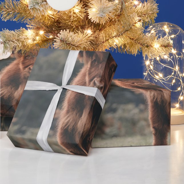 Highland cow calf autumn grass field wrapping paper (Holidays)