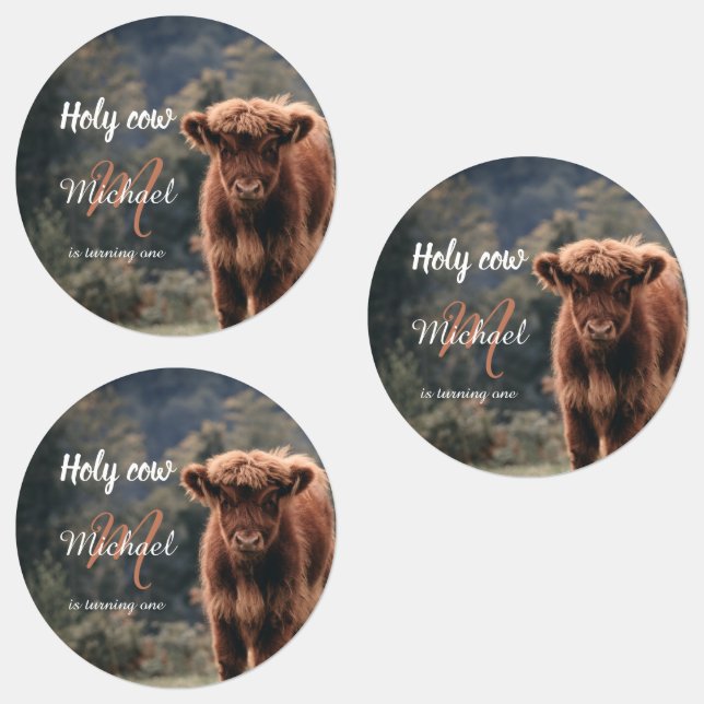 Highland cow calf monogram first birthday party (Group)
