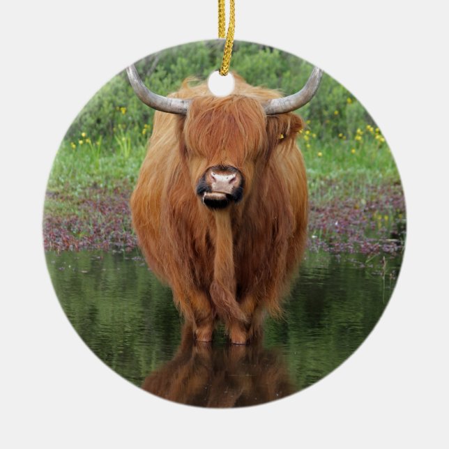 Highland cow ceramic tree decoration (Front)