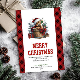 Highland cow Christmas card with holly berries