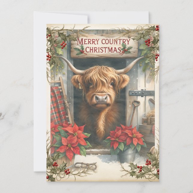 Highland Cow Christmas  Holiday Card (Front)