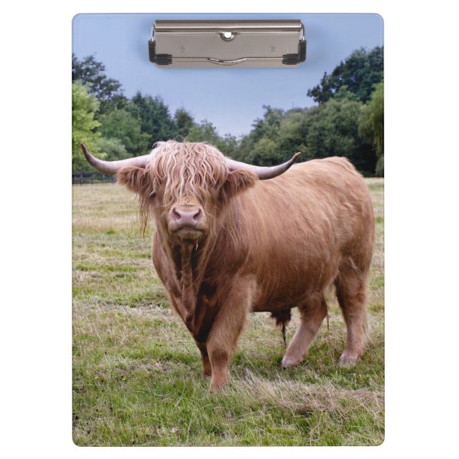 Highland Cow Clipboard (Front)
