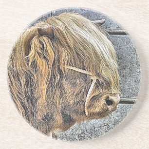 HIGHLAND COW COASTER