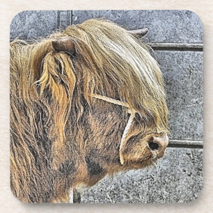 HIGHLAND COW COASTER