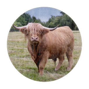 Highland Cow Cutting Board