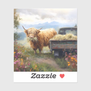 Highland Cow Eating Hay