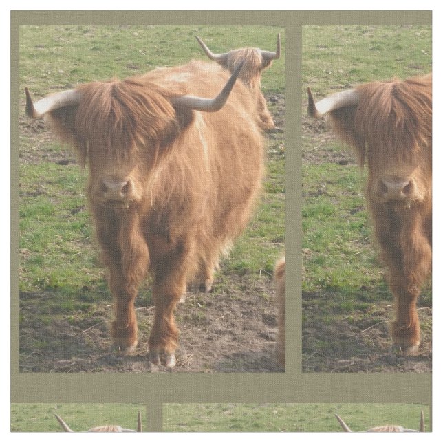 Highland Cow Fabric (Close Up)