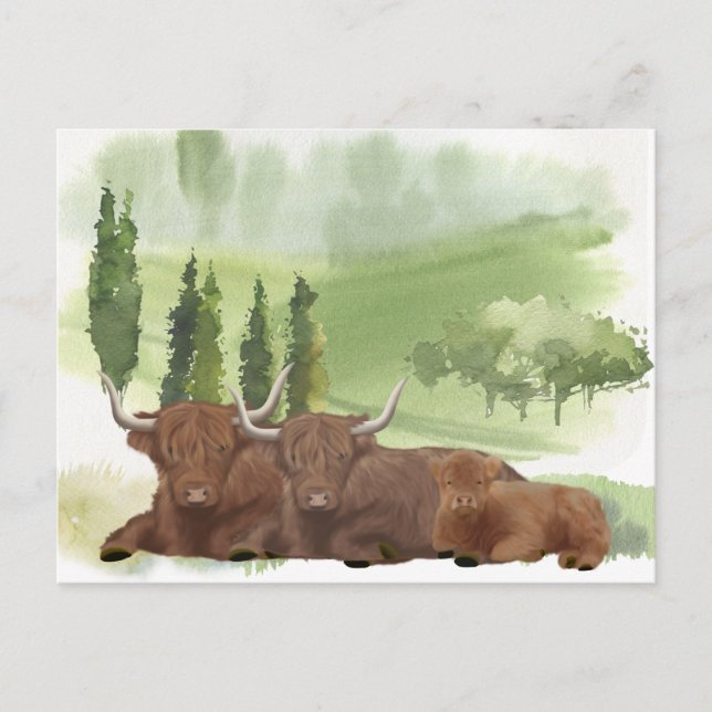  Highland Cow Family Watercolor Scotland Postcard (Front)