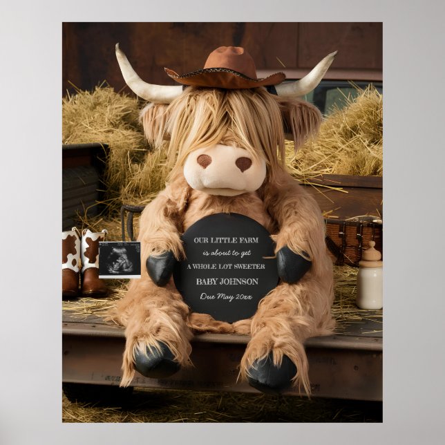 highland cow farm themed pregnancy announcement  poster (Front)
