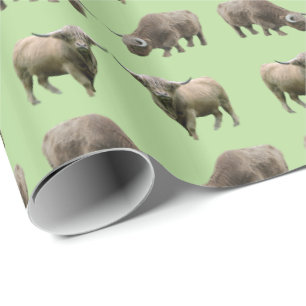 Highland Cow Frenzy Wrapping Paper (Green)
