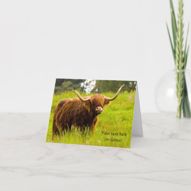 Highland Cow Greeting card (Front)